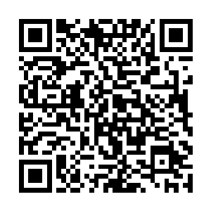 秦夫人虽然在大年三十时常去醉仙居看望那些老伙计二维码生成