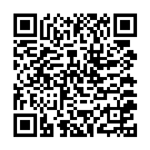 秦婆婆的孙女跑到附近的医院去给秦婆婆找医生去了二维码生成