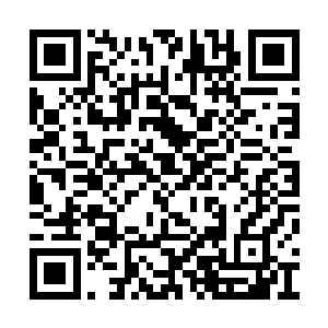 秦嫣然一眼就喜欢上了这软绵绵十分舒服的东西二维码生成