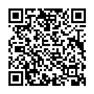 秦嫣然也看出来这庞伟兵并不是为了简单的为了保护自己而已二维码生成