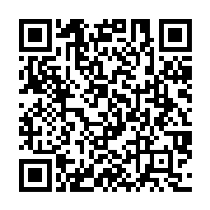 秦嫣然和萧霓裳两人唰唰两下就从自己的身旁飞快地掠过二维码生成