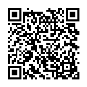 秦嫣然如果单独面对庞伟兵要跟进校园保护的请求二维码生成