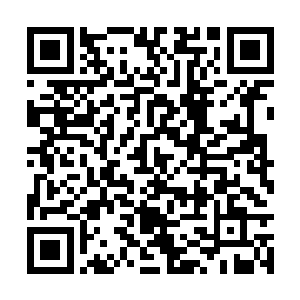 秦嫣然就这么大着胆子直接打断了正在上课的老师二维码生成