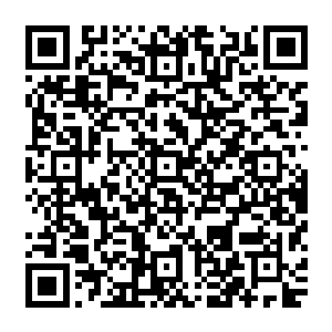 秦嫣然已经不是第一次听到来家里拜访姥姥的那些客人对自己没有学美术艺考的惊讶了二维码生成