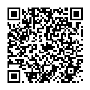 秦嫣然欢天喜地的在房间里好奇地四处尤其是打开了房间里的大衣柜后二维码生成