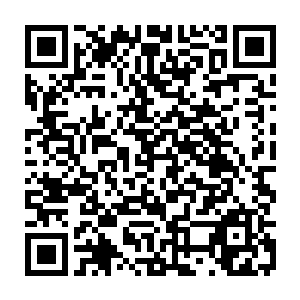 秦子云和凌霄还没有神王的实力却能够进入帝榜这绝对不是一般的不简单二维码生成