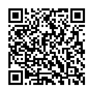 秦宇不知道从进入成仙门内是不是算踏上试炼之路了二维码生成