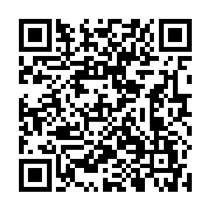 秦宇不知道其他人在进入云梦之境的时候会不会也这样二维码生成