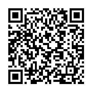 秦宇也不知道这些南疆的蛊师是怎么可以忍受的住的二维码生成