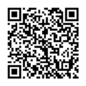 秦宇低头看到自己怀中的小九的小脑袋露在自己的衣服外面二维码生成