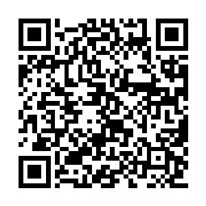 秦宇你的意思是这镜灵也是有人特意滋养出来的二维码生成