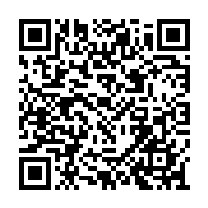 秦宇倒是颇有深意的看了眼李双双和那年轻男子二维码生成