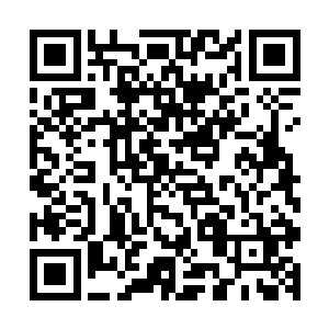 秦宇出现在小九身侧的那一刹那便是一把将小九朝着身后拽去二维码生成