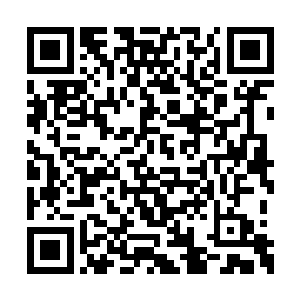 秦宇刚刚措不及防的情况下承受了郑老的这一跪二维码生成