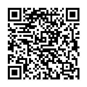秦宇却不得不担任这个让他自己当初讨厌的法海秃驴角色二维码生成
