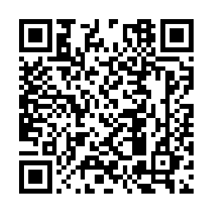 秦宇又带着孟瑶去书店买了一只三十公分的大毛笔二维码生成