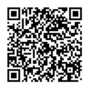 秦宇只能目送着袁承焕将军带着他的两百关宁铁骑消失在石门深处二维码生成