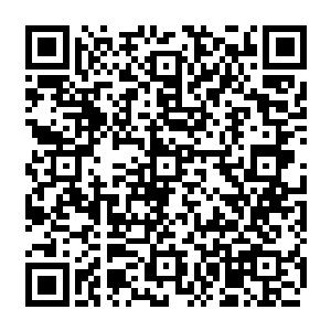秦宇和云傲双两人便只能是看到一道璀璨的如同烟花一样的火焰在他们的眼前绽放二维码生成