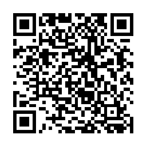 秦宇和云傲双两人就这么看着那火焰如同烟花一样绽放二维码生成