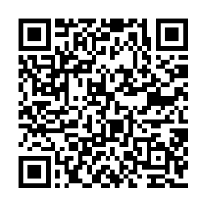 秦宇和天尊这个层次的战斗不是他们可以插手的二维码生成