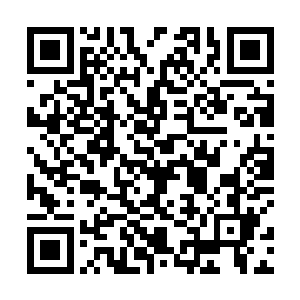 秦宇和孟瑶便被珠宝店的工作人员请到了一边的帐篷里二维码生成