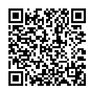 秦宇和老者的视线双双同时朝着白光停下的地方看去二维码生成