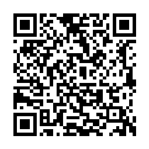 秦宇回想起当初带第二元神前往阴间转世的时候二维码生成
