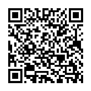 秦宇对小梅的心里想法已经是猜到了一个七七八八了二维码生成