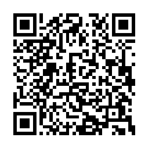 秦宇对这耿家埫的那位太叔公也是有着好奇之心二维码生成