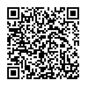 秦宇将手里拿着的纸张上面的五位小孩的名字和生辰八字背了下来二维码生成