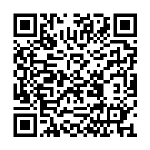 秦宇左脚的振动频率根本就是肉眼无法观察到的二维码生成