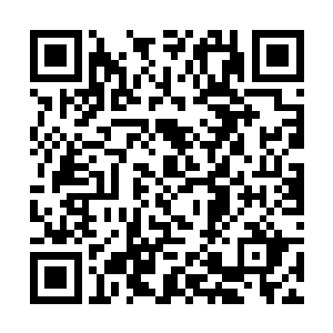 秦宇已经是可以感觉到这座巨大的棺材带给他的压力二维码生成