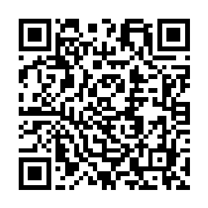 秦宇心里想的大概价位是三十万到五十万左右的车子二维码生成