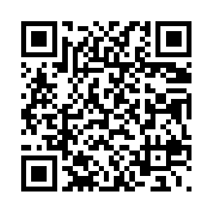 秦宇把它放在了翘翘粉嘟嘟的小手上二维码生成