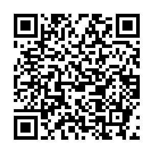 秦宇是仔细的来回记住邵康所有拿起又放下的翡翠毛料二维码生成