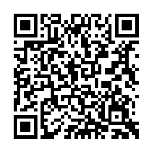 秦宇的元神也是再一次出现在了秦宇的头顶之上二维码生成