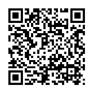 秦宇的心底生出了自己其实是在一个幻境中的念头二维码生成