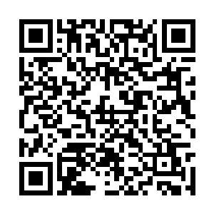 秦宇的心里对那九座巨大的棺材多少是有一个底了二维码生成