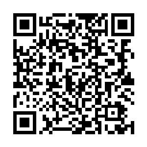 秦宇的目光又来回的在地下广场的每一寸地方来回扫视二维码生成