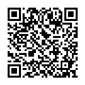 秦宇的目光没有再看下这片开满了幽梦草的草地二维码生成