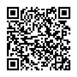秦宇的目光突然被药田最里面的一块巨石给吸引住二维码生成