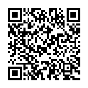秦宇的身躯如断线的风筝一般重重的砸落在东罗峰封顶二维码生成