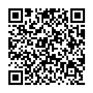 秦宇看着自己心里疙瘩大小的充满了杂质的翡翠二维码生成