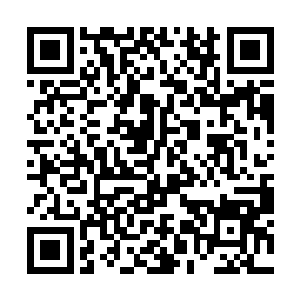 秦宇看着苍穹上空黑云酝酿了半天都没有出现的雷电二维码生成