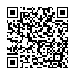 秦宇翻弄了一会也没有找到有什么缝隙可以打开的二维码生成