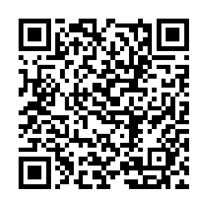 秦宇能杀死这三具白毛飞僵靠的就是手中的那柄剑二维码生成