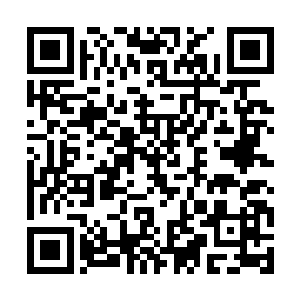 秦家人对宁曦的喜爱·自然有一部分是来自于宁毅二维码生成