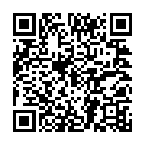 秦家另外两个s级中期的长老见到秦雨盛被吴虎臣这么打二维码生成
