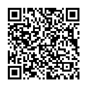 秦家的人上至秦品正下至秦雪都一一跟陈振东打了招呼二维码生成