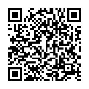 秦岚从她们战兢的表情里却看到了一丝被压抑的愤怒二维码生成